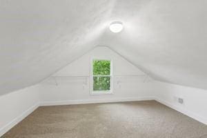 additional living space featuring vaulted ceiling, carpet, and baseboards