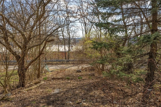 2252 Milligan Ave, Swissvale, PA 15218 - view of yard