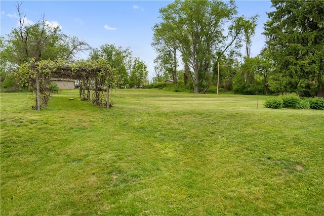 view of grassy yard
