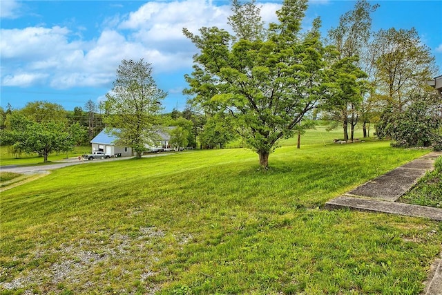 5569 Camerons Rd, Brush Val/Buffington, PA 15748 - view of grassy yard