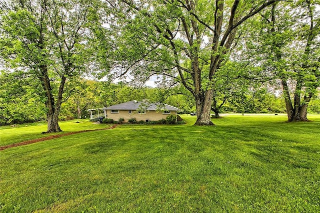 view of grassy yard