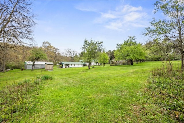 3072 Millerstown Rd, Clarion, PA 16254 - view of grassy yard