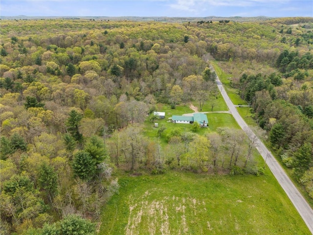 3072 Millerstown Rd, Clarion, PA 16254 - view of property location featuring a heavily wooded area