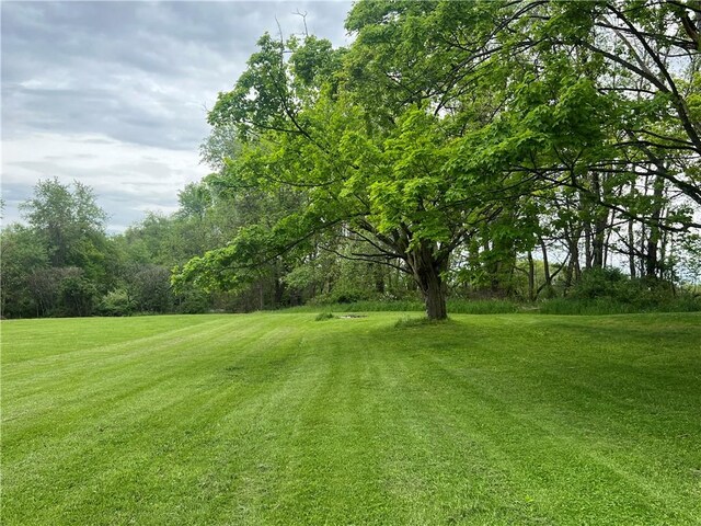 220 Baird Rd, Mahoning Twp Law, PA 16116 - view of green lawn