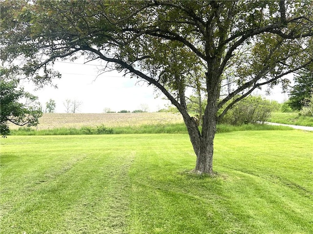 220 Baird Rd, Mahoning Twp Law, PA 16116 - view of grassy yard with a view of rural / pastoral area