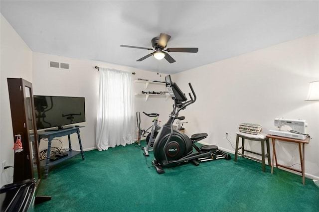 9204 Douglas Fir Dr, Plum Boro, PA 15239 - workout room featuring ceiling fan, carpet, and baseboards