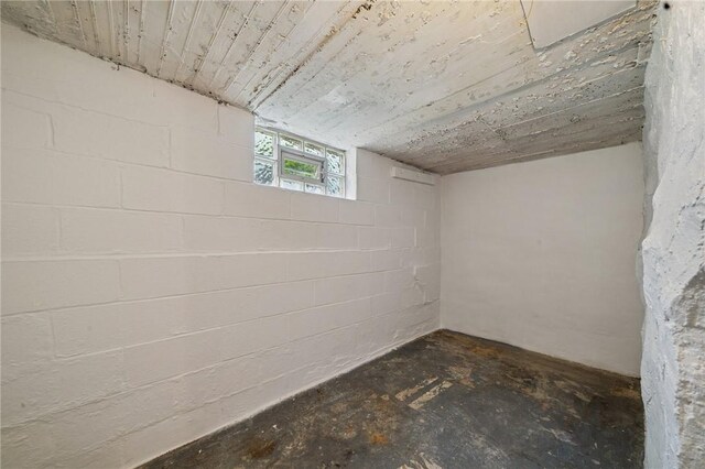 below grade area featuring concrete block wall