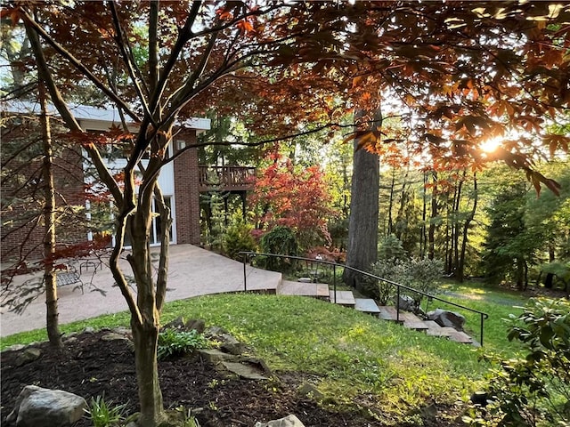 view of grassy yard with a patio