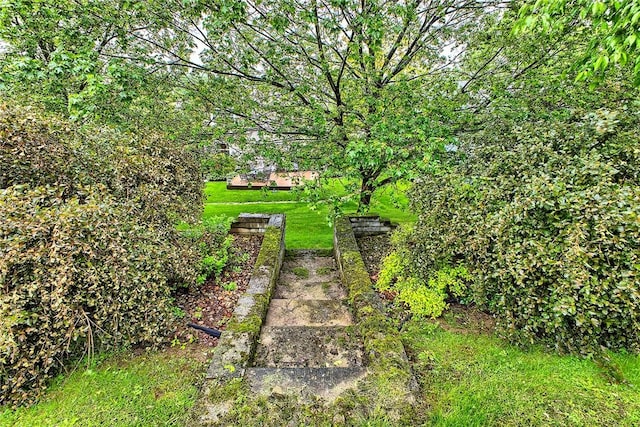 view of grassy yard