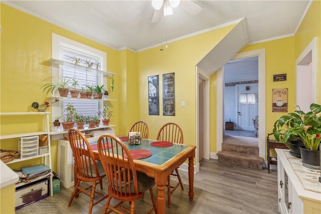 dining area featuring healthy amount of natural light, ornamental molding, wood finished floors, a ceiling fan, and baseboards