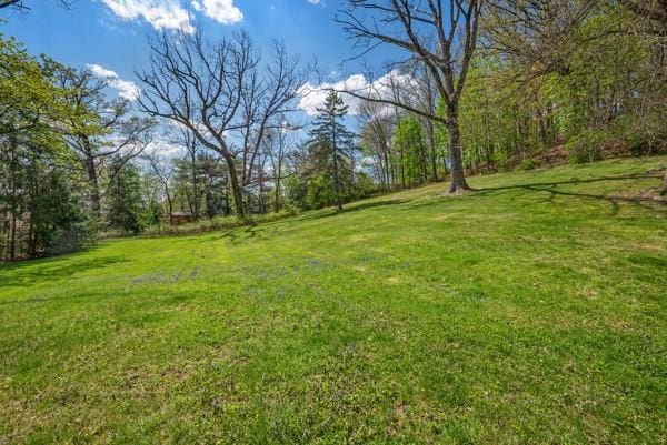 view of grassy yard