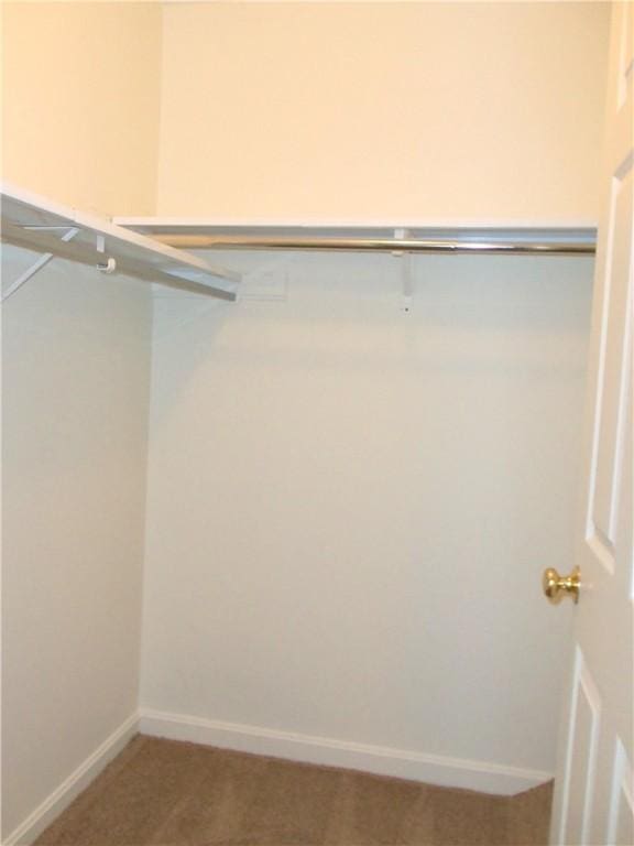 spacious closet with carpet flooring