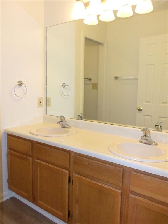 bathroom featuring double vanity