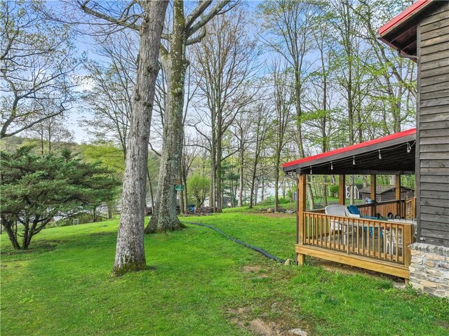 1036 Causeway Dr, Lake Stonycreek, PA 15541 - view of grassy yard