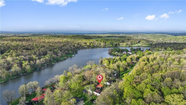 1036 Causeway Dr, Lake Stonycreek, PA 15541 - bird's eye view of a heavily wooded area and a large body of water