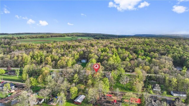 1036 Causeway Dr, Lake Stonycreek, PA 15541 - bird's eye view of a forest