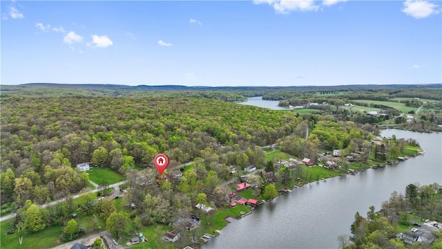 1036 Causeway Dr, Lake Stonycreek, PA 15541 - view of property location with a nearby body of water and a heavily wooded area