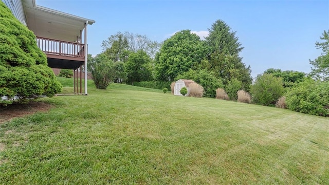view of green lawn featuring a storage shed and an outdoor structure