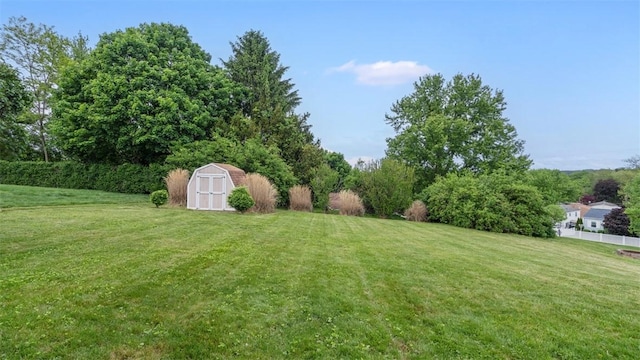 view of yard featuring a storage shed and an outdoor structure