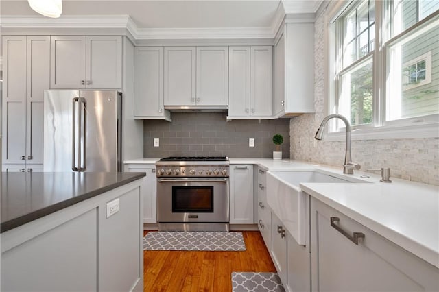 kitchen with stainless steel appliances, light wood-style flooring, a sink, tasteful backsplash, and crown molding