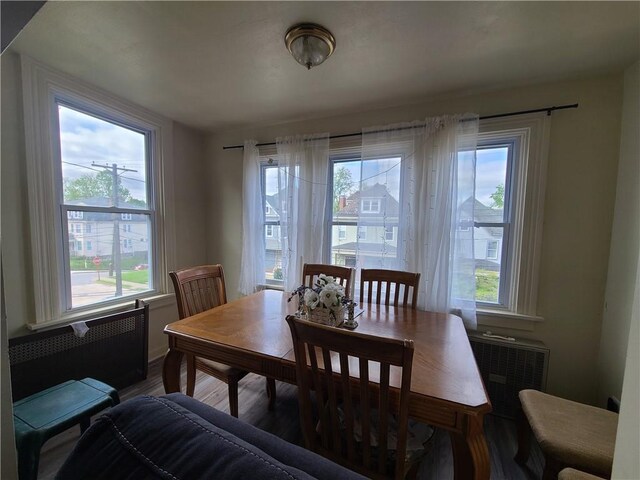 743 Taylor Ave, Avalon, PA 15202 - dining area with plenty of natural light, wood finished floors, and radiator