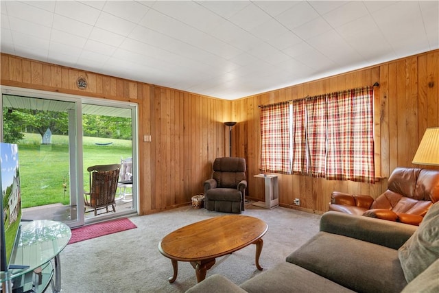 living area featuring wooden walls and carpet flooring