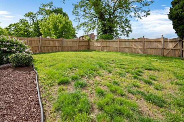 665 Dunster St, Brookline, PA 15226 - view of yard