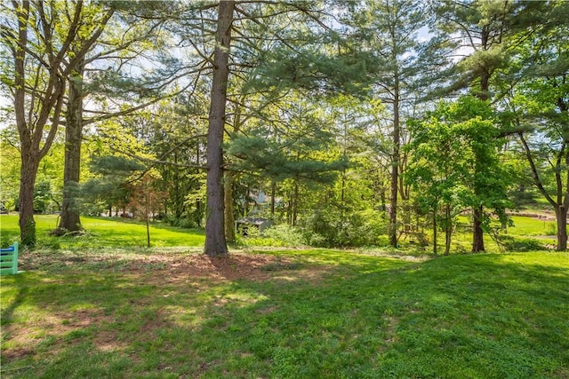 205 Seegar Rd, Upper St Clair, PA 15241 - view of grassy yard