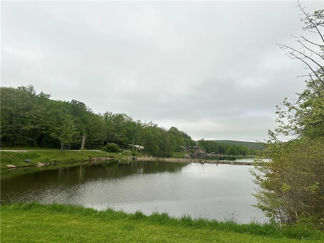 133 Imperial Rd, Hidden Valley, PA 15502 - water view featuring a heavily wooded area