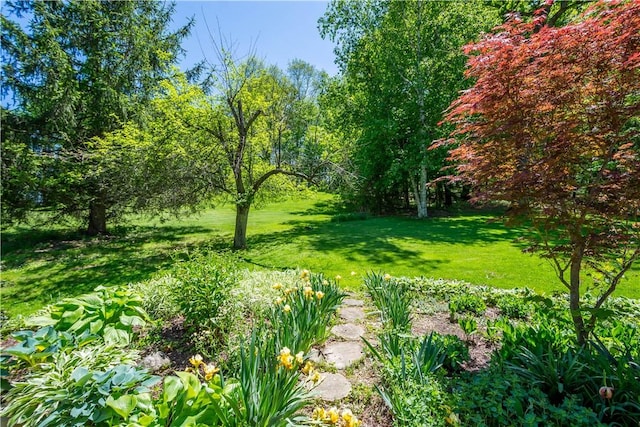 view of green lawn
