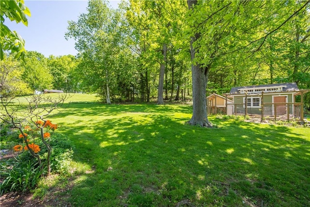 view of grassy yard with an outbuilding and a storage unit