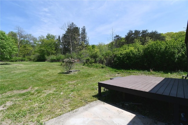 2608 Big Sewickley Creek Rd, Franklin Park, PA 15143 - view of green lawn featuring a deck and a view of trees