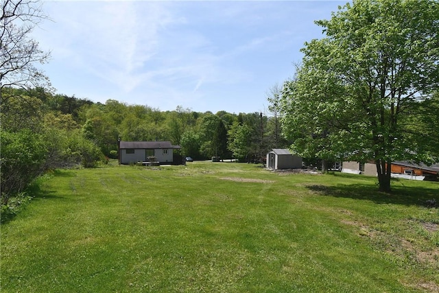 2608 Big Sewickley Creek Rd, Franklin Park, PA 15143 - view of grassy yard featuring a storage unit, an outdoor structure, and a forest view