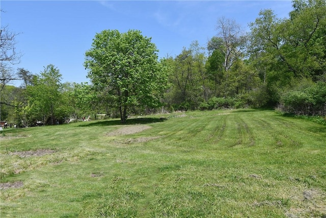 2608 Big Sewickley Creek Rd, Franklin Park, PA 15143 - view of green lawn