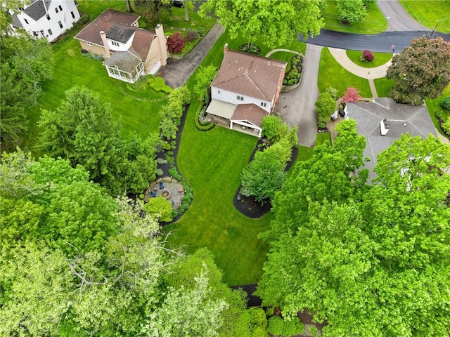 bird's eye view