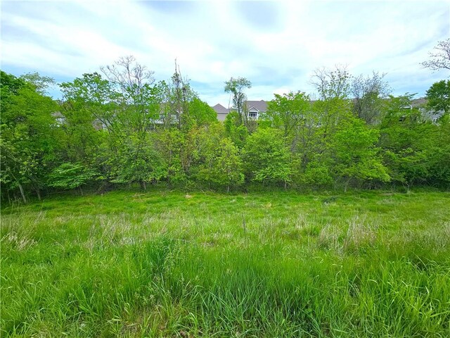 129 Bay Ct, Chartiers, PA 15301 - view of yard
