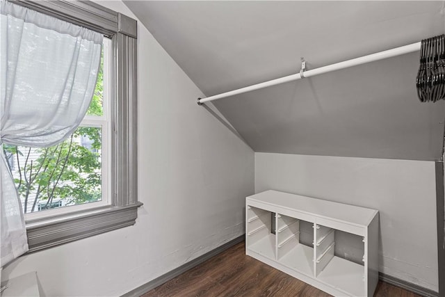 106 Haldane St, Crafton, PA 15205 - walk in closet featuring lofted ceiling and dark wood-style flooring