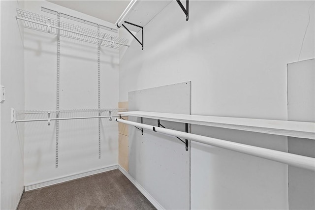 106 Haldane St, Crafton, PA 15205 - spacious closet with dark carpet
