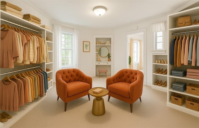 106 Haldane St, Crafton, PA 15205 - spacious closet with carpet floors