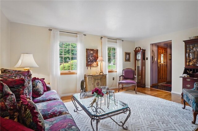 living area featuring wood finished floors and baseboards