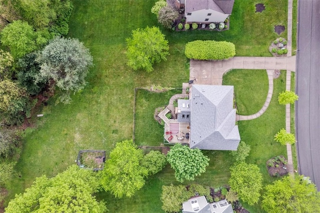 bird's eye view