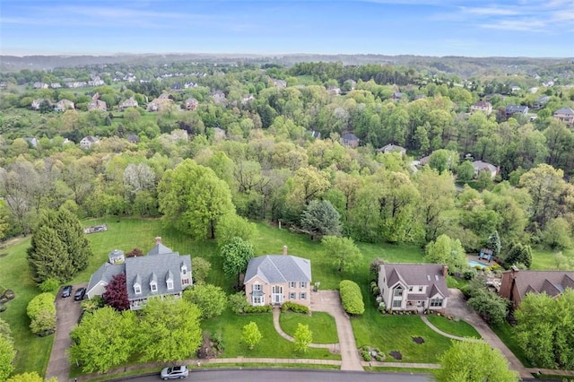 bird's eye view of a forest