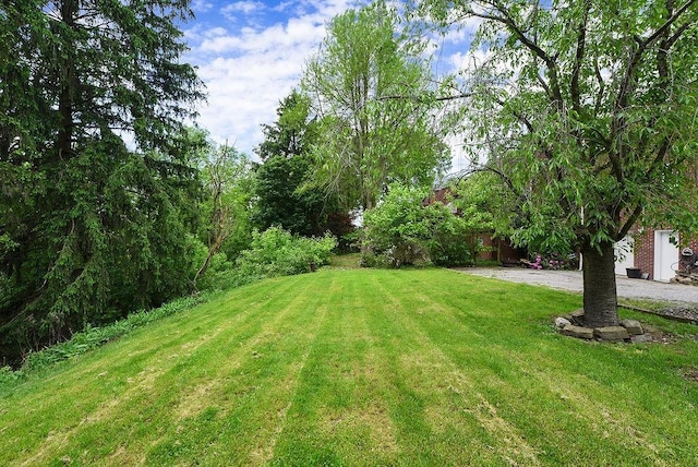 view of green lawn