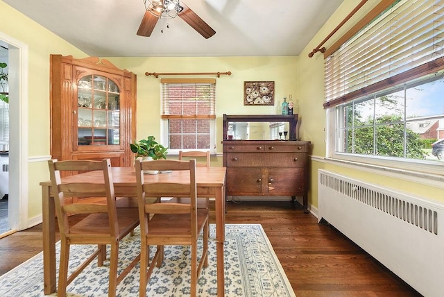 dining area with radiator, ceiling fan, healthy amount of natural light, and dark wood-style flooring