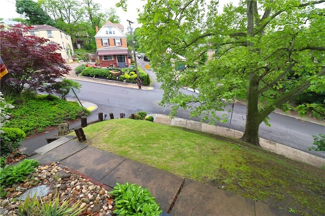 view of grassy yard