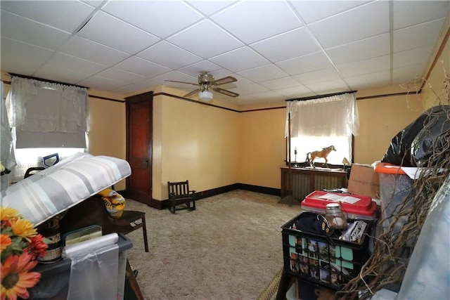 bedroom featuring carpet flooring, a drop ceiling, ceiling fan, and baseboards
