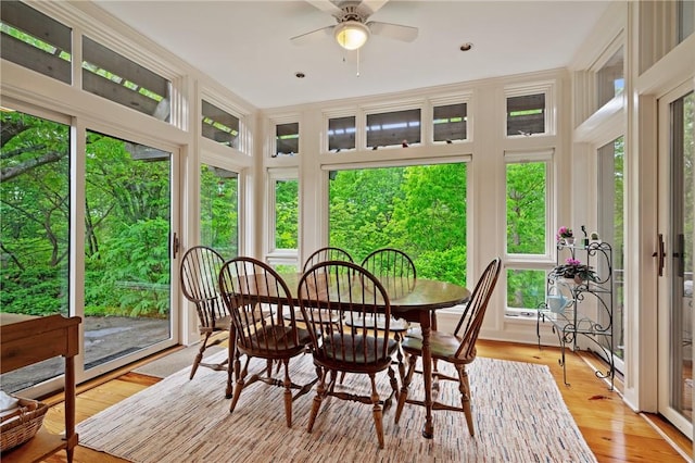 sunroom / solarium featuring wood finished floors