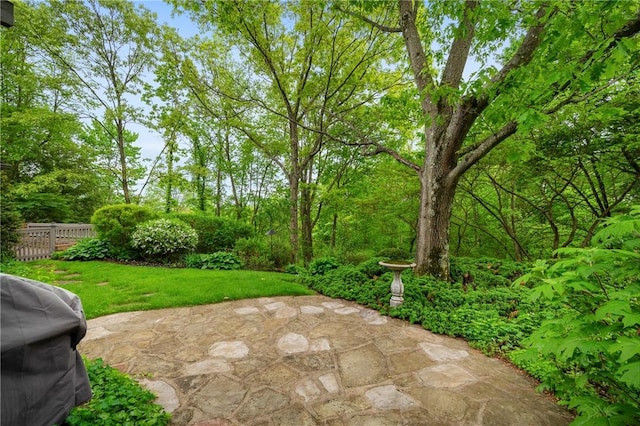 view of yard featuring a patio area