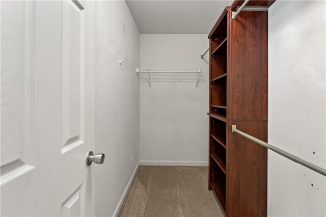 walk in closet with carpet floors