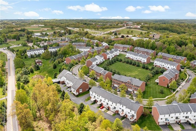 drone / aerial view